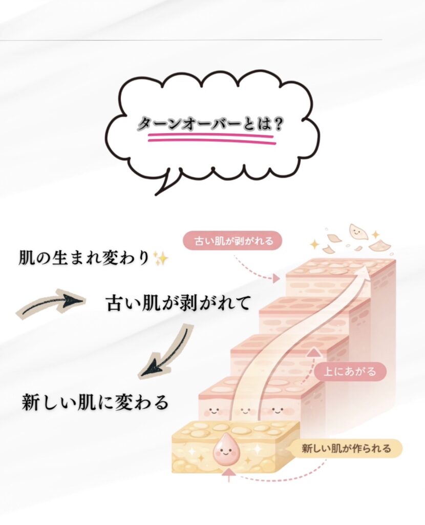 肌の生まれ変わり（ターンオーバー）のメカニズム図解。名護市の強い紫外線で乱れた肌サイクルを正常化し美肌へ導く仕組み。