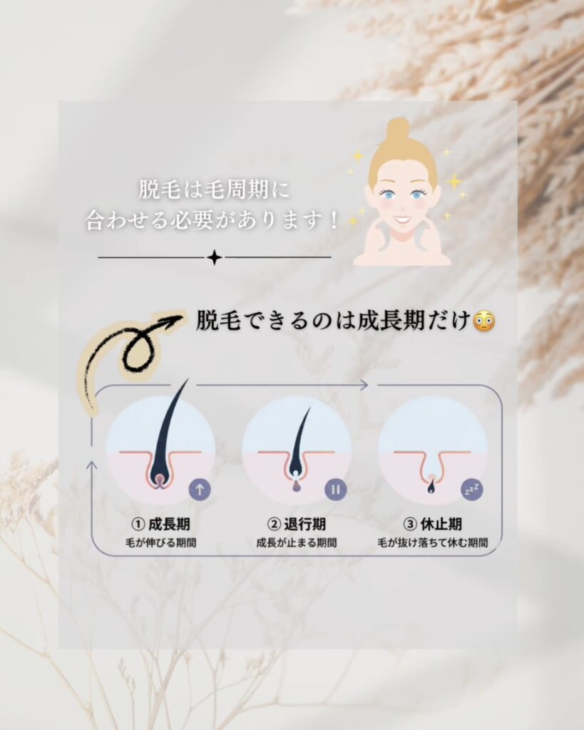 毛周期(ヘアサイクル)のわかりやすい図解。成長期、退行期、休止期の3つのステージの説明。