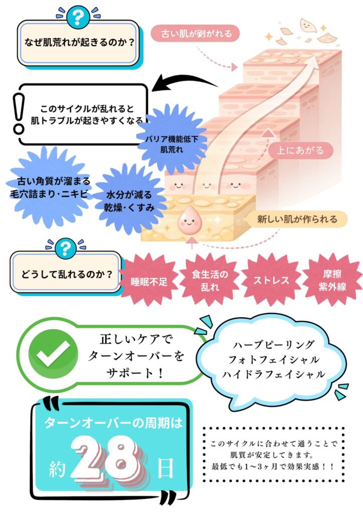 ターンオーバーの仕組み。名護市Classy＆TrueMeによる肌荒れとサイクル乱れの解説図解。